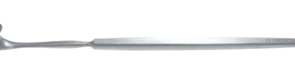 19.04.2024_13.54.10_REC